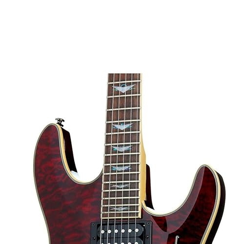 Amazon.com: Schecter Omen Extreme-6 FR Electric Guitar - Black