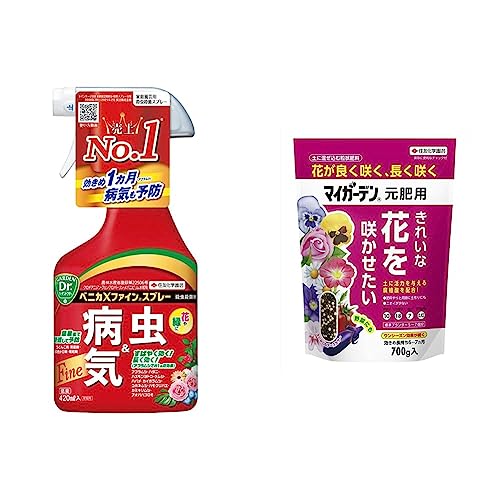 yZbgzZFw| EEۍ xjJXt@CXv[ 420ml & 엿 }CK[f p 700g 