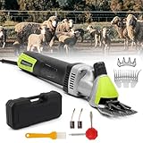 Photo Gallery whaeoy tosatrice per pecore 850w, 2400 giri/min macchina per tosatura del bestiame con 6 velocità, tosatrice per tosatura animali con cassetta degli attrezzi, per lana pecore, capre, bovini Photo Gallery whaeoy tosatrice per pecore 850w, 2400 giri/min macchina per tosatura del bestiame con 6 velocità, tosatrice per tosatura animali con cassetta degli attrezzi, per lana pecore, capre, bovini