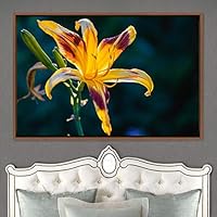 Framed Canvas Wall Art Flora Snapshot Closeup Dark Expressive Farmhouse/Country Floral Multicolor Photography Realism Single - 16x24 inches