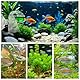 Editbar 4 Stück CO2 Glas Aquarium Monitor, Co2 Dauertest Aquarium,CO2 Test Aquarium Drop Checker Hängender, Aquarium Co2-Monitor,Co2 Glas Tester für Süßwasseraquarien Gepflanzte Fisch Tank