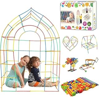 SIENIANLINE Straw Constructor STEM Building Toys 480 pcs Interlocking Plastic Educational Toys Engineering Building Blocks -Fun- Educational- Safe for Kids- Develops Motor Skills-Construction Blocks