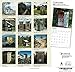 Goldistock 2020 Large Wall Calendar -