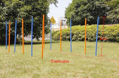 image for PAWISE Dog Agility Training Equipment,12 Weave Poles for Dogs with Sta