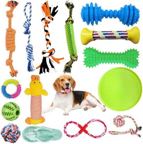 Hundespielzeug Set 15-teilig - Robustes Kauspielzeug Für Kleine & Mittlere Hunde