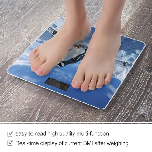 Báscula digital de baño BWQJKUO con pantalla LCD 400 lb miniatura 5