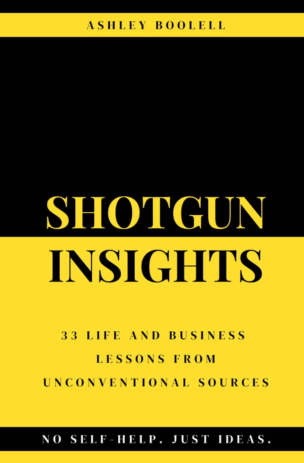 SHOTGUN INSIGHTS: 33 Life and Business Lessons From Unconventional Sources