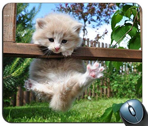 Preisvergleich Produktbild Gaming-Mausmatte, in der Waage hängendes personalisiertes Rechteck-Mauspad, bedrucktes rutschfestes Gummi Komfortables, individuelles Computer-Mauspad