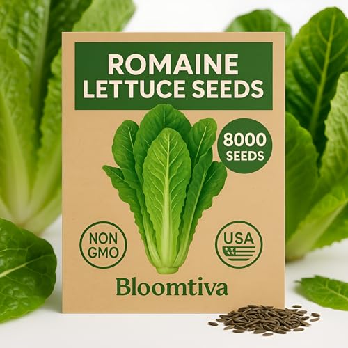 Romaine Lettuce Seeds – Parris Island Cos, 8000+ Heirloom Non-GMO
