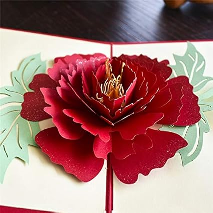 Pivoine 3d Pop Up Carte Cadeau D Anniversaire Avec Autocollant D Enveloppe Fleur Laser Cut Invitation Carte De Voeux Carte Postale Kirigami Fete Des Meres Amazon Fr Informatique Pivoine 3d Pop Up Carte Cadeau D Anniversaire Avec Autocollant D Enveloppe Fleur Laser Cut Invitation Carte De Voeux Carte Postale Kirigami Fete Des Meres Amazon Fr Informatique