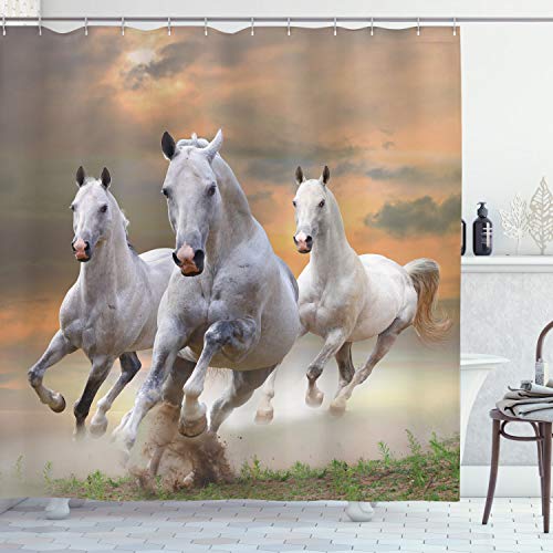 Ambesonne Horses Shower Curtain, Stallion Horses Running on a Mystic Sky Background Male