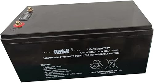 Miniatura 1 de Casil LiFepo4 - Batería de litio de 12 V 300 Ah con BMS integrado, batería de fosfato de más de 5000 ciclos para aplicaciones de RV, solar, marina,