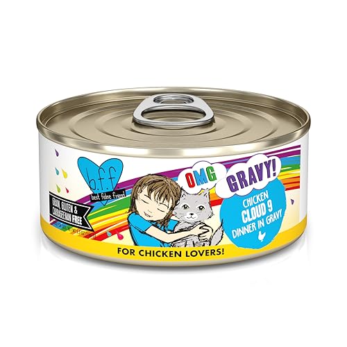 Weruva B.F.F. OMG - Best Feline Friend Oh My Gravy!, Chicken Cloud 9 with Chicken in Gravy, 5.5oz Can (Pack of 8)