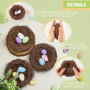 Tatuo 12 Pcs Easter Bird Nest with 60 Pcs Eggs Spring Party Decoration Handmade Miniature 4 Inch Birds Nests Decorative for DIY Spring Displays and Easter Decorations(Pale Yellow,Light Green) Tatuo 12 Pcs Easter Bird Nest with 60 Pcs Eggs Spring Party Decoration Handmade Miniature 4 Inch Birds Nests Decorative for DIY Spring Displays and Easter DecorationsPale YellowLight Green