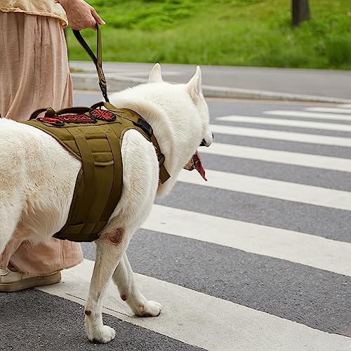 OneTigris Bolt Kurzführer Hund 30cm, Hundeleine Kurz mit Tiger Zahn Metallclip und Weiche Polsterung, Reflektierend Nylon Hundeleine Geeignet für Mittlere Große Hunde Braun