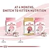 Royal Canin Feline Health Nutrition Mother & Babycat Queen Ultra Soft Mousse in Sauce Cat Food, 3 oz (Pack of 24) #1