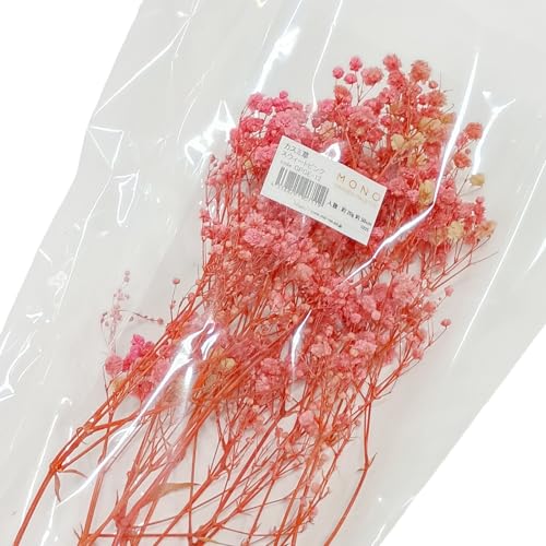 ガーデンパレットモノ プリザーブドフラワー 花材 カスミ草 スウィートピンク 材料 袋 ハーバリウム ハンドメイド サシェ アロマワックス レジン ネイル 素材 GPGE-12