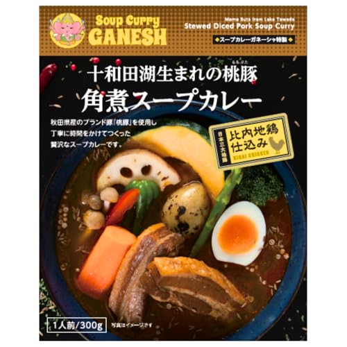 Soup Curry Ganesh \acΐ܂̓؊pσX[vJ[(ggE1lO) 300g