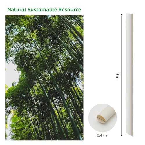 Pitillos biodegradables de bambú, 300 unidades, jumbo 9'' miniatura 6