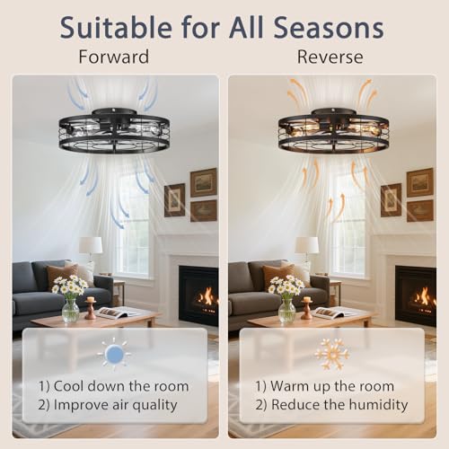 Image of VOLISUN Caged Ceiling Fan with Light and Remote,19.7 inch Fandelier Ceiling Fan with Light Flush Mount, Farmhouse Bladeless Ceiling Fans with Lights for Kitchen,Bedroom