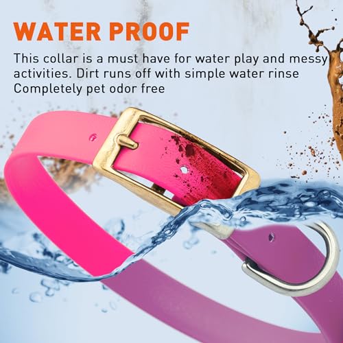 Image of Viper Biothane Heavy Duty Waterproof Dog Collar Strong Coated Nylon Webbing w /Solid Brass Hardware Odor-Proof Easy to Clean High Performance Fits Small Medium or Large Dogs, Passionfruit Pink
