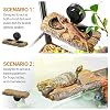 2 in 1 Reptile Feeding Ledge & Turtle Basking Platform, Resin Suction Cup Feeder with 4PCS Cups, Terrarium Water Bowl Food Dish - Tank Accessories for Crested Gecko Lizards & Aquatic Turtles