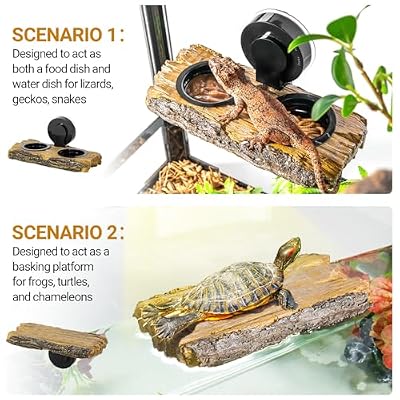2 in 1 Reptile Feeding Ledge & Turtle Basking Platform, Resin Suction Cup Feeder with 4PCS Cups, Terrarium Water Bowl Food Dish - Tank Accessories for Crested Gecko Lizards & Aquatic Turtles