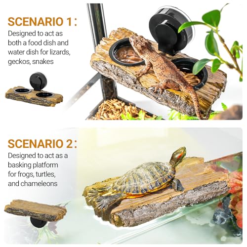 Mangeoire en résine pour reptiles avec ventouse robuste et coupelles - 3