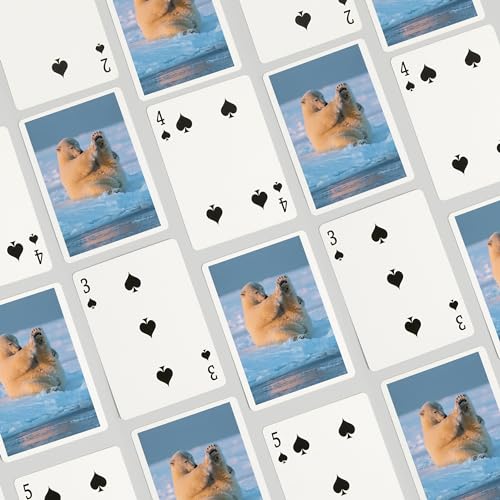 Lantern Press Polar Bear Baraja de 52 cartas poker miniatura 4