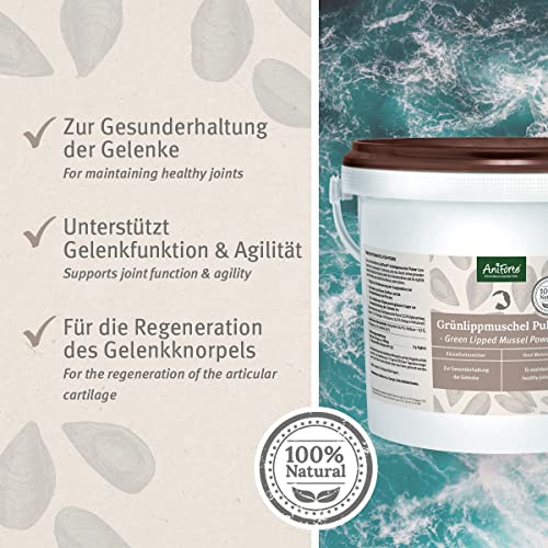 AniForte Grünlippmuschel Pferd 1kg - Natürliches Grünlippmuschelpulver in Vollfettqualität, Omega 3 & 6 Fettsäuren, Glycosaminoglycane 3,3%, Grünlippmuscheln Pferd unterstützt Gelenke & Gelenkfunktion