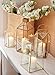Serene Spaces Living Large Gold Decorative Hurricane Lantern Candle Holder with Glass Panels, 16