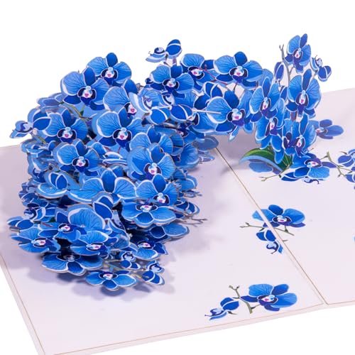 3D Pop-Up Blumenkarte – Handgefertigte Klappkarte Für Geburtstag, Muttertag, Dankeschön, Mit Platz Für Persönliche Nachricht (Modell N309)
