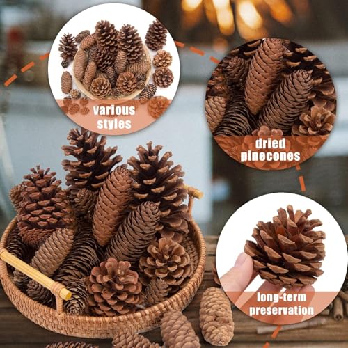 Image of 20PCS Natural Pinecone Ornaments, Pine Cones Bulk Natural Pinecones Assortment for Fall Winter Christmas Bowl Fillers (Natural)