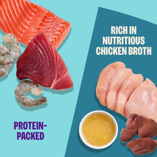 Wellness Healthy Indulgence Shreds Variety Pack Adult Wet Cat Food, Natural, Protein Rich, Grain Free, 2 Flavors, 3 oz, Pack of 8 Pouches - image 3