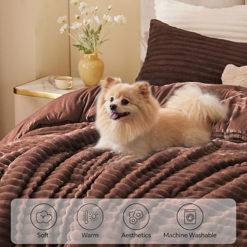 BEDELITE Fleece Twin Comforter Set -Super Soft & Warm Fluffy Hot Chotolate Bedding, Luxury Fuzzy Heavy Bed Set for Winter with 1 Pillow case