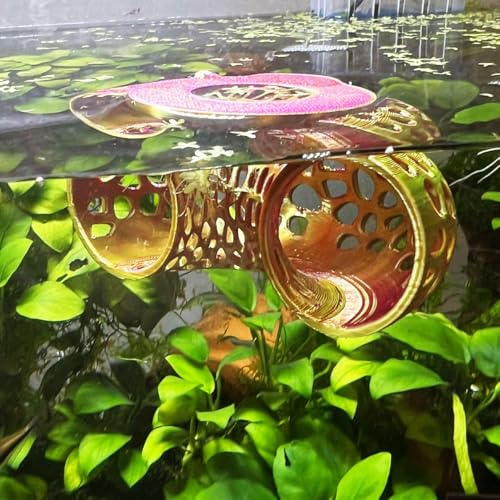 Image of Floating Betta Tunnel for Betta Training. Interactive Training & Enrichment Toy for Betta Fish - Stress Relief & Exercise Accessory, Floating Betta Fish Toys