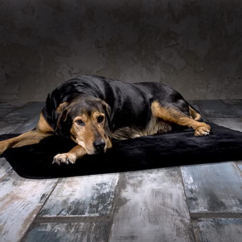 Werner Christ Lammfell Hundedecke Hundeteppich/Hundematte aus echtem Schaffell, der ideale Schlafplatz für Ihren Hund, Größe 50 x 80 cm in schwarz