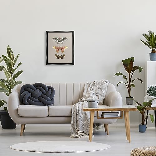 Image of Vintage Moth Specimens Nature, 16 x 20 Inch Canvas in Floater Frame | Stupell Industries . By Danhui Nai . Ready to hang . Printed in Johnston . Rhode Island . Made in USA