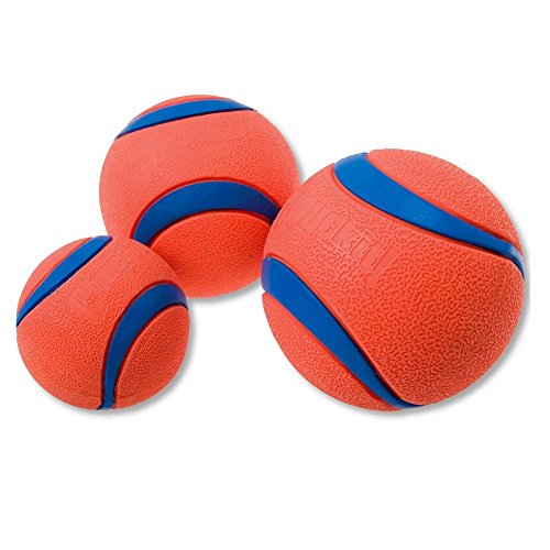 Netproshop Super ChuckIt Ultra Ball 1 Stück