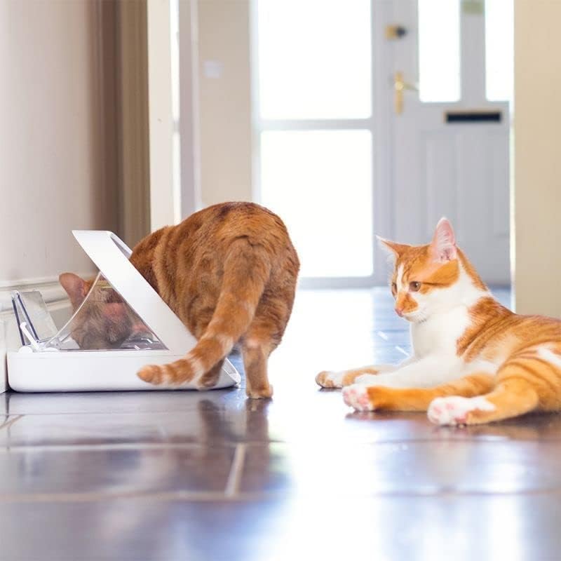 Kompatibel mit Sureflap Surefeed Microchip RFID Halsband-Tags Disc Key Ersatz (2 Stück)