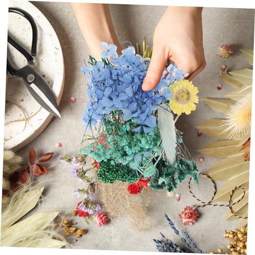 Kit artesanal de flores secas naturales CORHAD miniatura 3