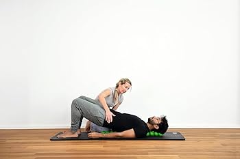 Amazon.co.jp: Sissel Spinefitter by Sissel 腰痛緩和用バック