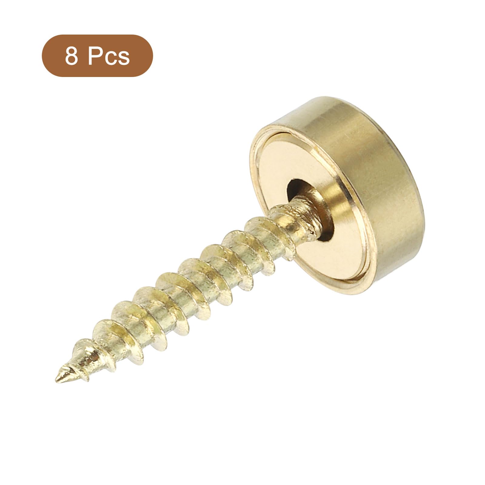DRESSELHAUS Spiegelschroef met messing kop 20 mm galv. verzinkt, 4 stuks kopen