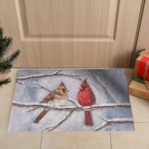   Primitives-by-Kathy-Cardinal-Couple-Rug