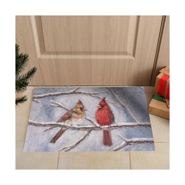   Primitives-by-Kathy-Cardinal-Couple-Rug