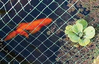GARDEN MILE® 2m x 10m Green Pond Plant Netting Garden Protector Mesh Pest Control For Fruit Veg Pea Growth Fish Koi Pond Tidy Durable Net Stretch Fencing Covers Against Leaves Predator For Outdoor