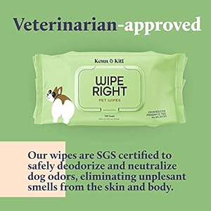 Kenn  kitt dog grooming wipes | gentle moisturizing hypoallergenic dog wipes with skin soothing aloe vera | puppy wipes for face and paws | dog ear wipes | dog eye wipes | pet wipes | 100 count   cucciolini doodles