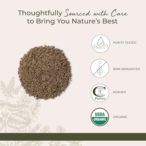 Starwest Botanicals Organic Cumin Seed - Dried Seasoning for Curry, Chili, & Other Food, Rich & Earthy Spice, Supports Digestion, Non-GMO - Bulk 1 lb Bag