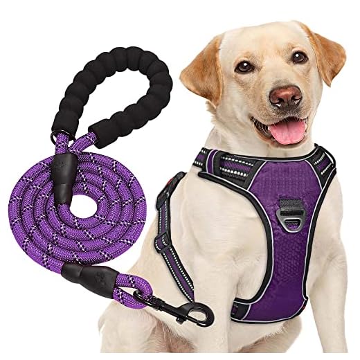 haapaw Arnés para Perro sin Tirar, Ajustable, Reflectante Oxford, fácil de controlar, Mediano y Grande, con una Correa para Perro Resistente
