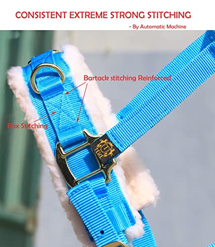 T TEKE Lunge Cavesson com faixa de nariz forrada com lã e coroa